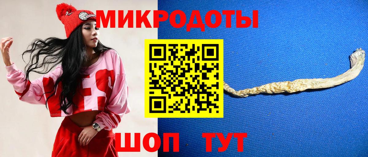 Псилоцибиновые грибы Psilocybine cubensis Заволжье