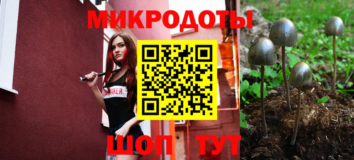Псилоцибиновые грибы мухоморы  Вход с VPN  Заволжье 